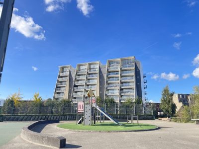 IMG_4630
